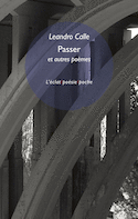 Passer et autres poèmes [édition bilingue]